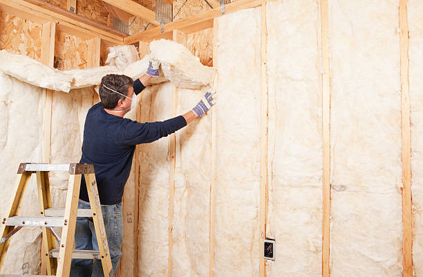 Best Garage Insulation in East Dundee, IL